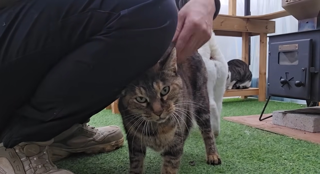 5년만에 haha ha에게 마음을 연 카오 | 인스티즈