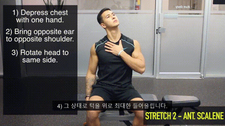 거북목을 고쳐봅시다. 2탄 (0. 거북목과 이중턱 1.턱 운동에 대해 2.턱운동 해보기) - 데이터 스압주의 | 인스티즈