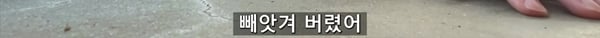 아기 고양이 냥줍했는데 반응 난리난 일본 유튜버.jpg | 인스티즈