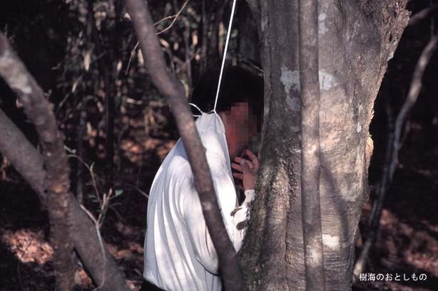 일본의 죽음의 숲 (일본 내 자살1위) 아오키가하라 사진. (시체 , 심약자, 비위약한사람들 보면안됨) | 인스티즈