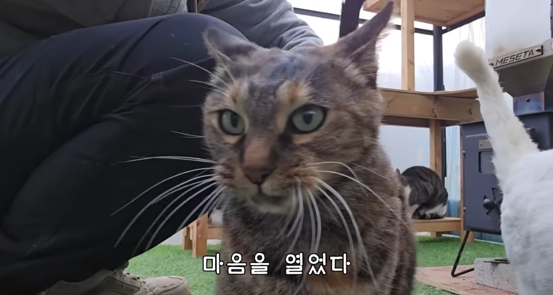 5년만에 haha ha에게 마음을 연 카오 | 인스티즈