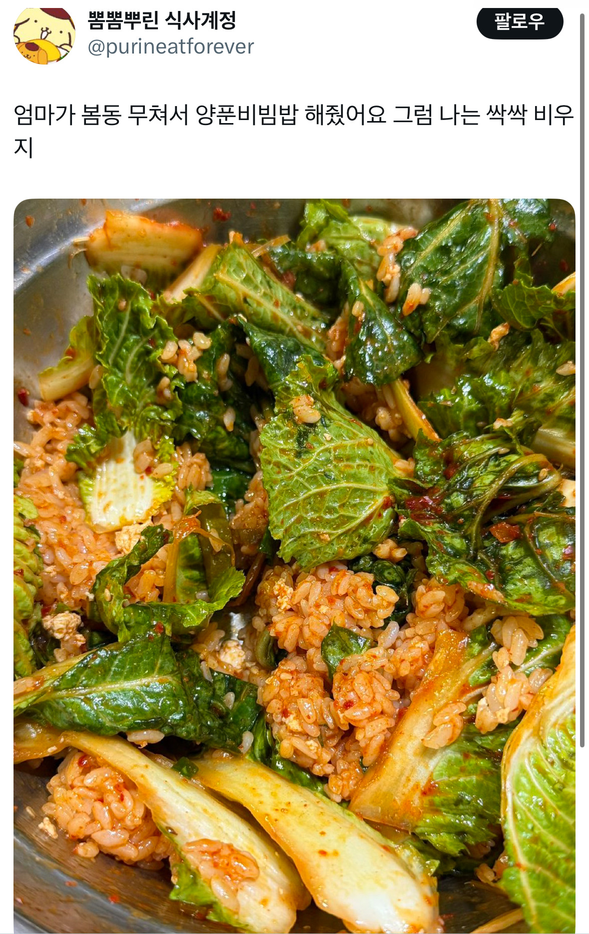 엄마가 봄동 무쳐서 양푼비빔밥 해줬어요 | 인스티즈