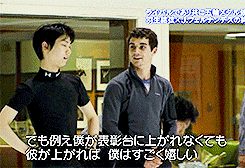 외국도 주목하는 하뉴와 하비의 지독한 사랑.gif(하뉴주의) | 인스티즈