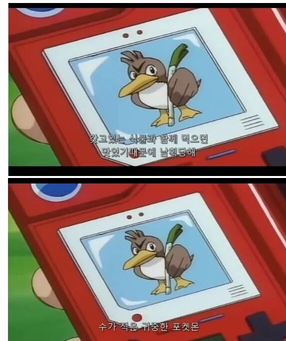 나만 몰랐던 포켓몬 파오리의 사용처.twt | 인스티즈