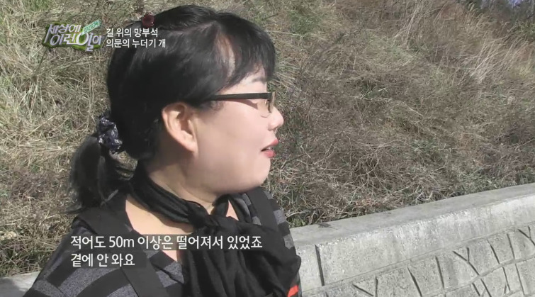 [세상에이런일이] 도로위에 망부석이 되서 주인을 기다리는 강아지.jpg | 인스티즈