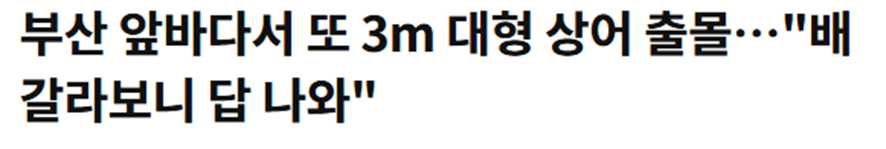 예능 찍다가 3m 상어 낚았다는 여배우.jpg | 인스티즈