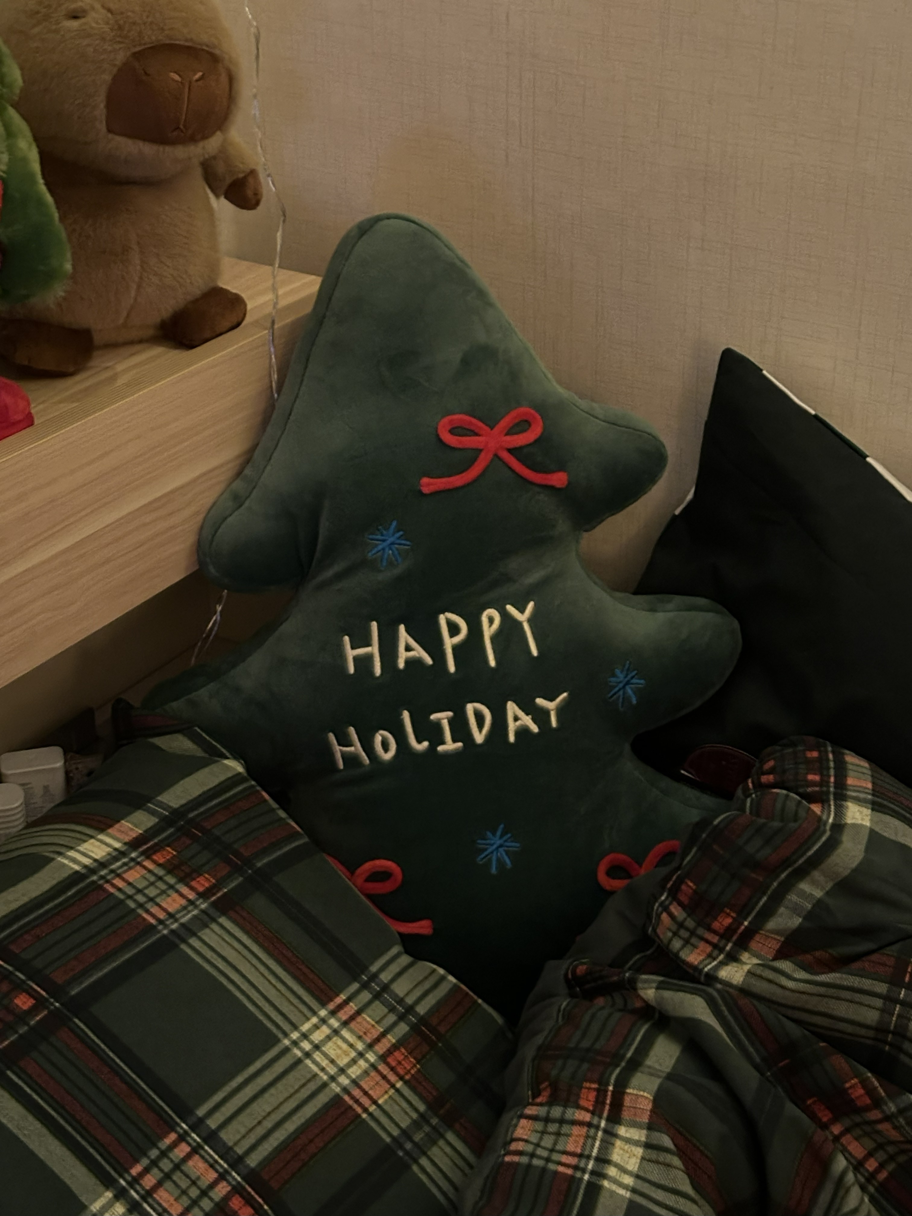 크리스마스 광인 인의 크리스마스 집 꾸미기 추천 비추천템🎄 | 인스티즈