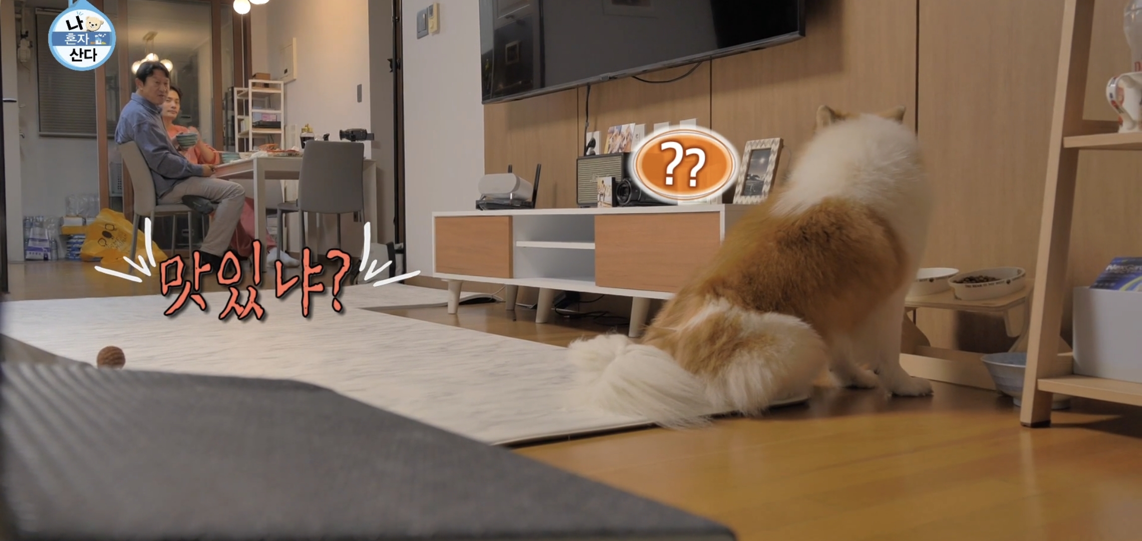 나혼산 캐리하고 간 김응수랑 반려견 쵸파.jpgif | 인스티즈