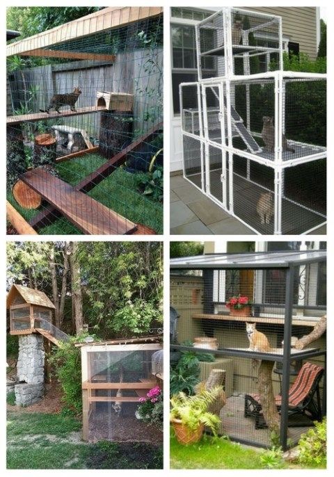 산책 없이 행복한 고양이를 위한 인테리어① - 고양이 정원 | 인스티즈