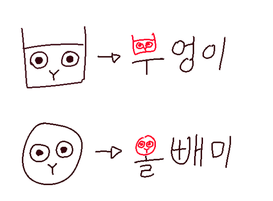 은근 헷갈리는 비슷비슷한 동물들 구별하는 법! | 인스티즈