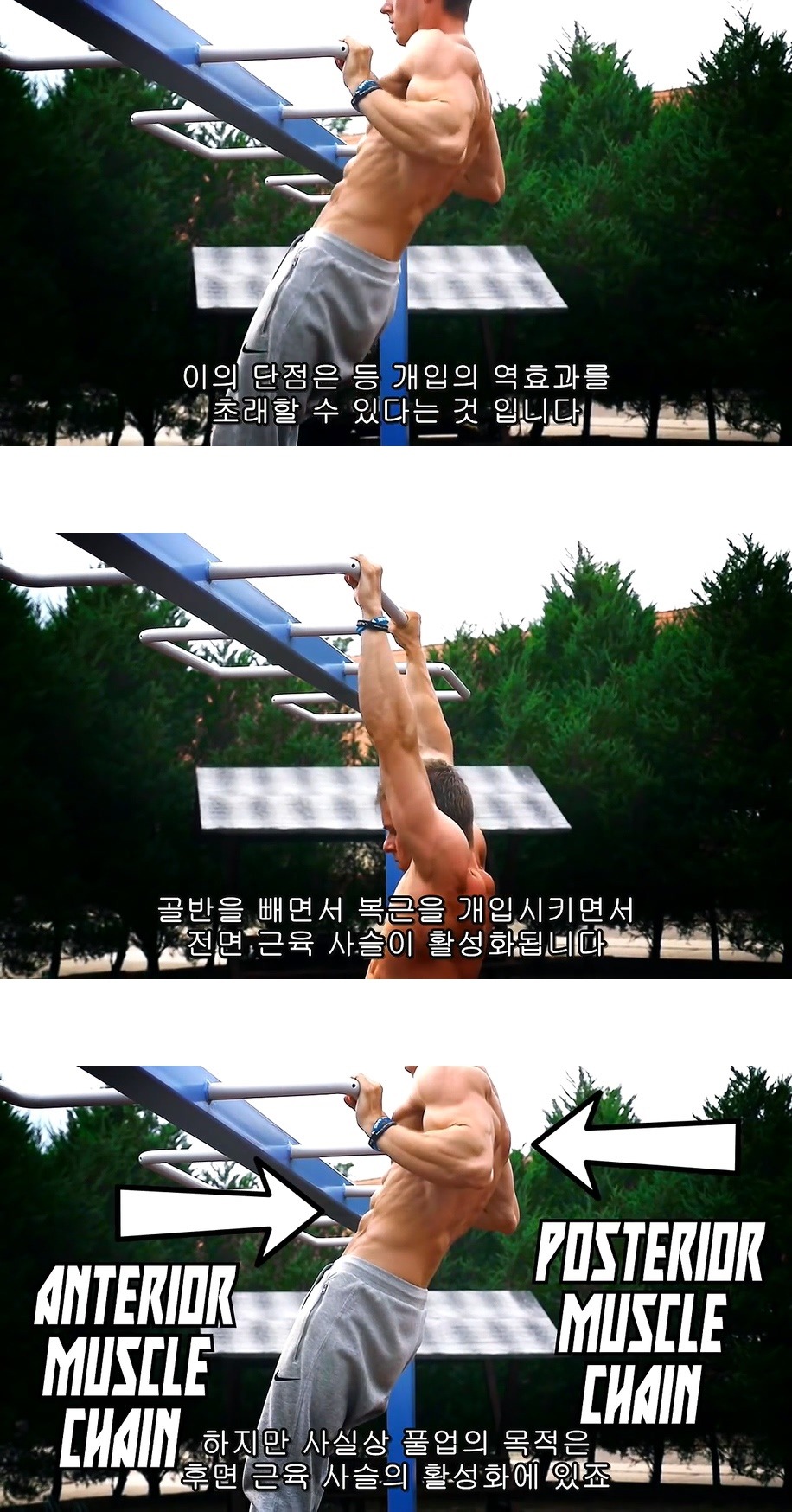 퍼펙트 풀업 (정자세 턱걸이) 하는법.jpg,gif | 인스티즈