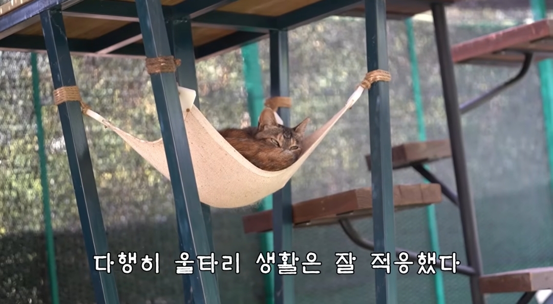 5년만에 haha ha에게 마음을 연 카오 | 인스티즈