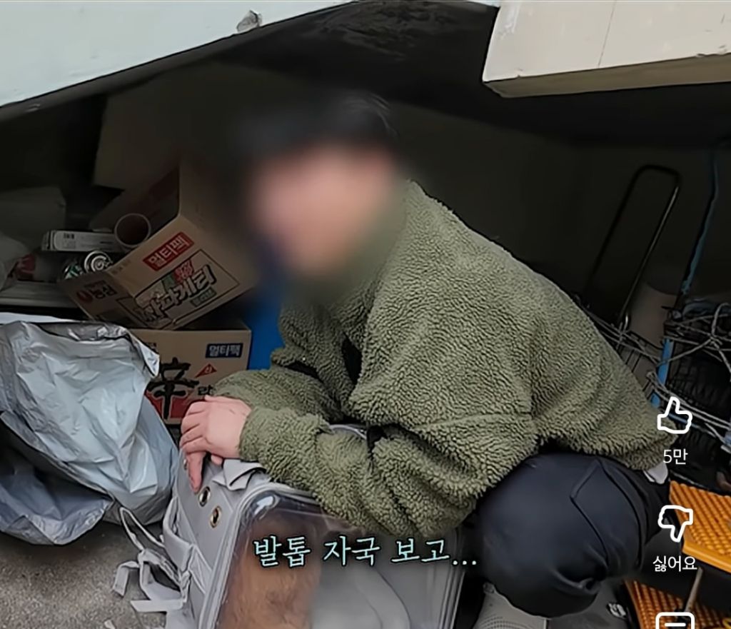 고양이 잃어버렸던 집사가 보자마자 무너진 흔적ㅠ | 인스티즈