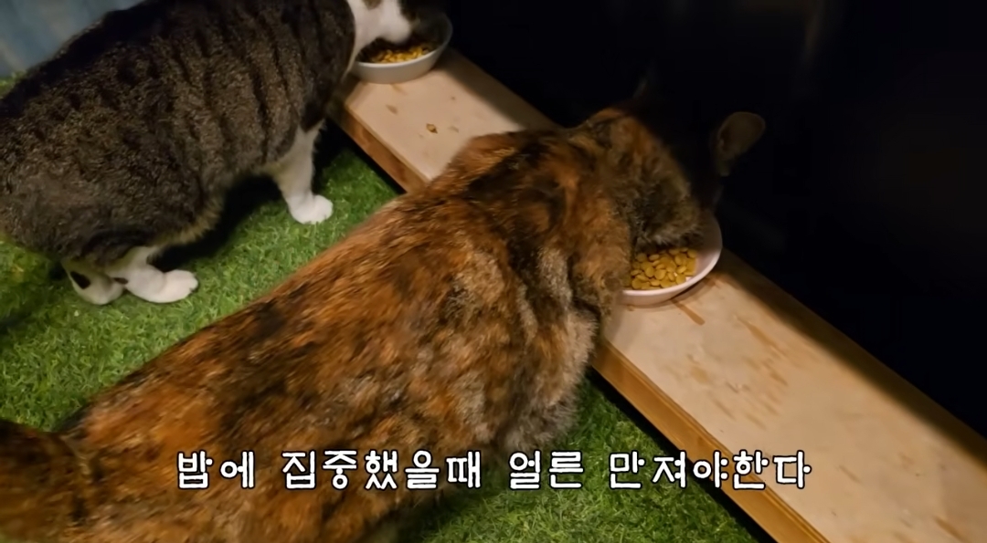 5년만에 haha ha에게 마음을 연 카오 | 인스티즈