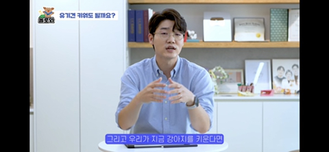 견주 초보일 수록 유기견이 좋은 이유 | 인스티즈