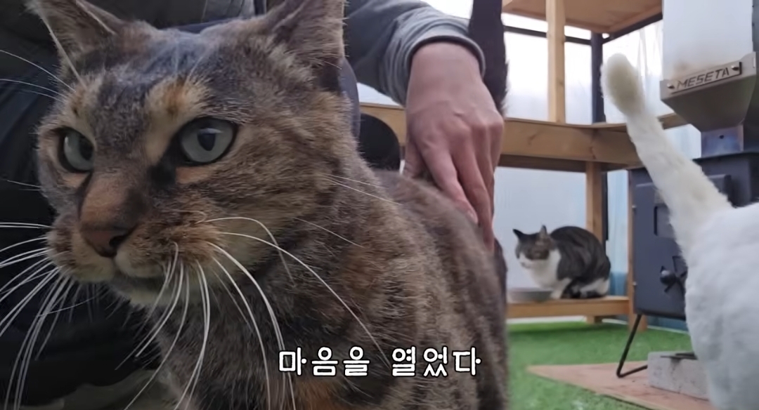 5년만에 haha ha에게 마음을 연 카오 | 인스티즈