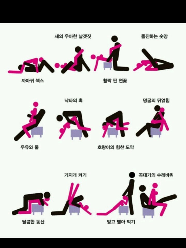 2017년 첫 체위 | 인스티즈