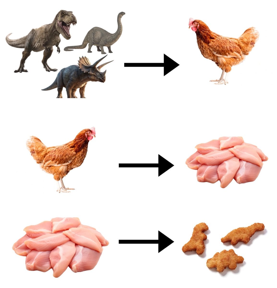 윤회가 존재한다는 증거 | 인스티즈