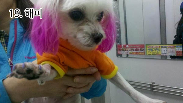 흔한 동네 일진녀들 특징 | 인스티즈