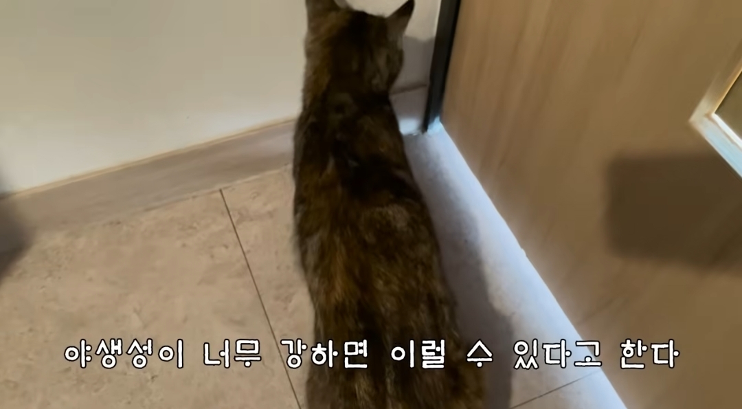 5년만에 haha ha에게 마음을 연 카오 | 인스티즈