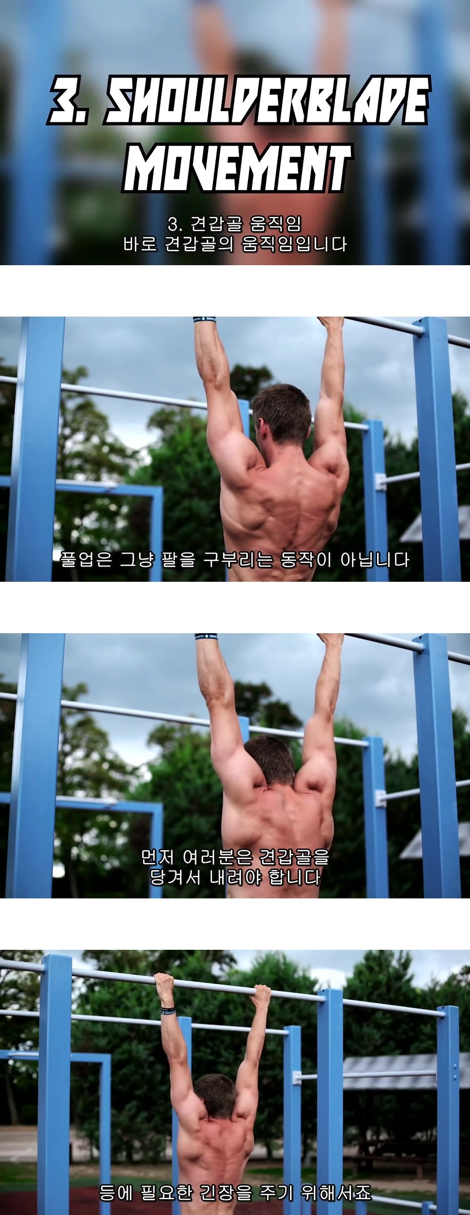 퍼펙트 풀업 (정자세 턱걸이) 하는법.jpg,gif | 인스티즈