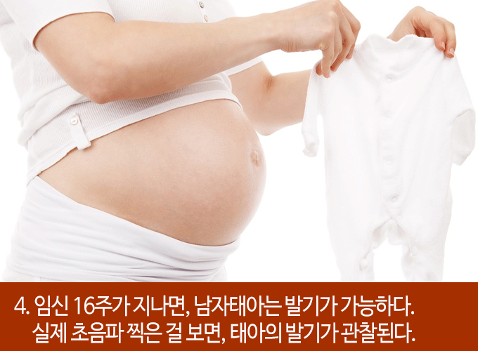 발기에 대한 흥미로운 22가지 사실들 | 인스티즈