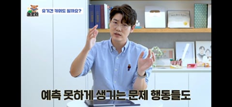 견주 초보일 수록 유기견이 좋은 이유 | 인스티즈