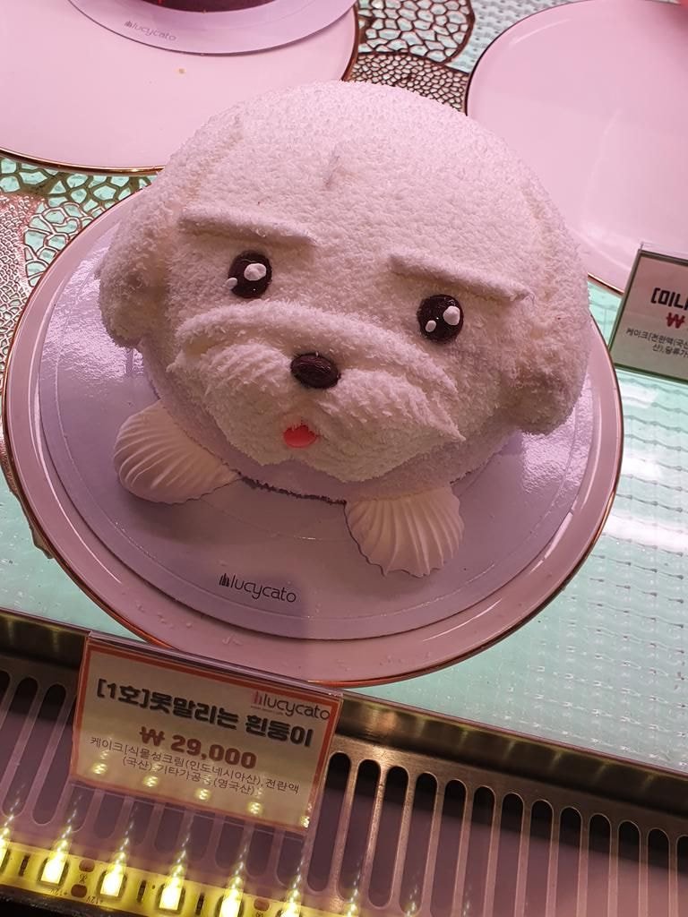 아버지가 계속 흰둥이 케익 사야된다고 하셔서 왜 계속 흰둥이 타령이냐고 했더니.twt | 인스티즈