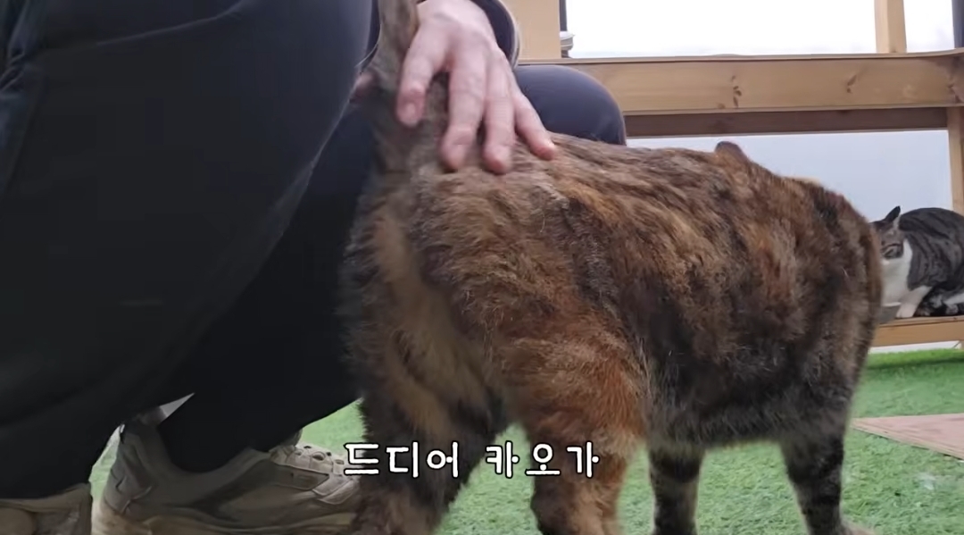 5년만에 haha ha에게 마음을 연 카오 | 인스티즈
