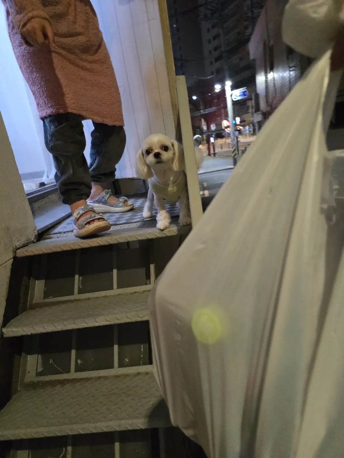 배달요청사항 "사람 좋아하는 말티즈가 마중나가용” | 인스티즈