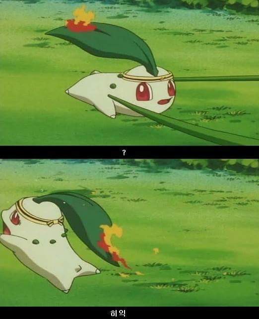 포켓몬스터 지우 인성 수준.jpg | 인스티즈