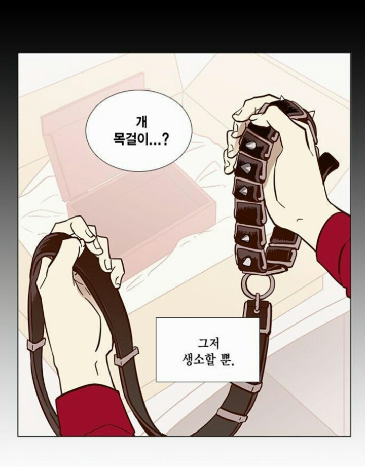 BDSM에 대해 건전하게 다루고 있는 로코물 만화 | 인스티즈