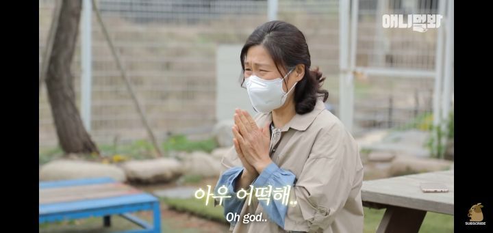죽을것같은 우울증에 걸린 강아지 | 인스티즈