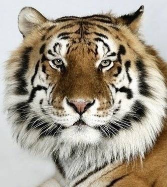 증명사진인데 누가 제일 잘생겼어? | 인스티즈