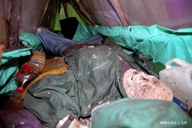 일본의 죽음의 숲 (일본 내 자살1위) 아오키가하라 사진. (시체 , 심약자, 비위약한사람들 보면안됨) | 인스티즈