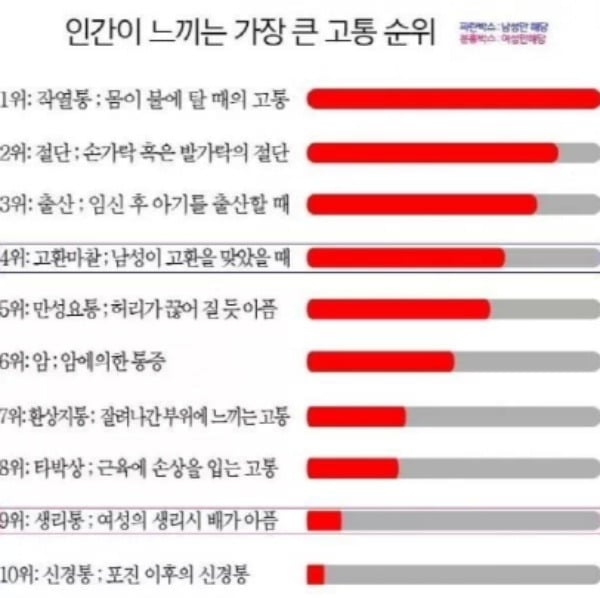 인간이 느끼는 고통순위 조작자료 원본 | 인스티즈