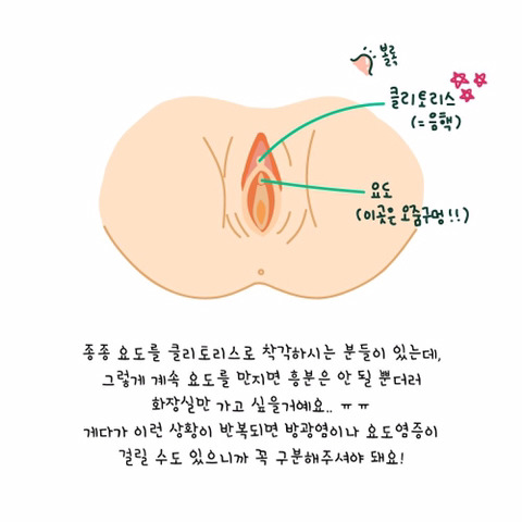 클리토리스로 홍콩가기 - 자위, 애무법 | 인스티즈