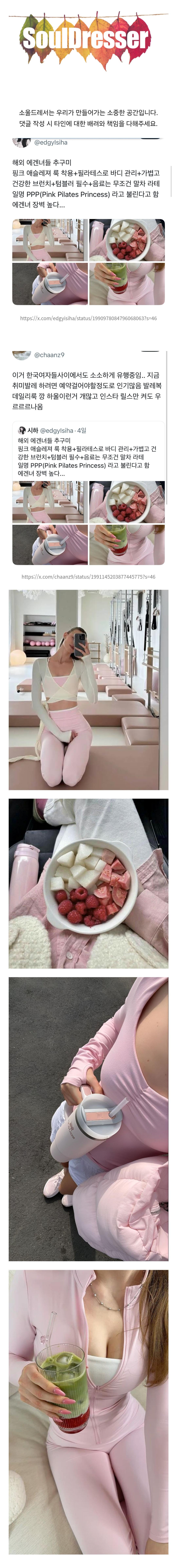 해외 에겐녀들 추구미 | 인스티즈