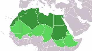 백인은 피부가 다 흰색일까?? | 인스티즈
