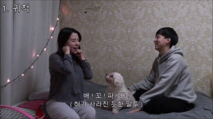 아프리카tv 인기비제이커플부부 유튜브 인기 유투버 커플부부 사진모음 | 인스티즈