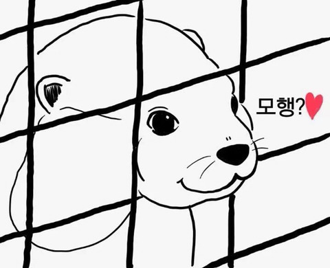 놀리거나 약올릴때 쓰는 짤모음 | 인스티즈