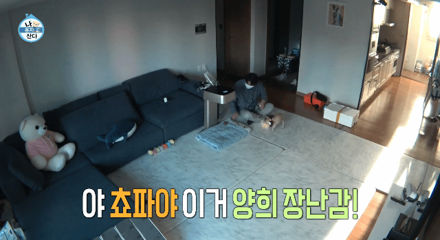 나혼산 캐리하고 간 김응수랑 반려견 쵸파.jpgif | 인스티즈