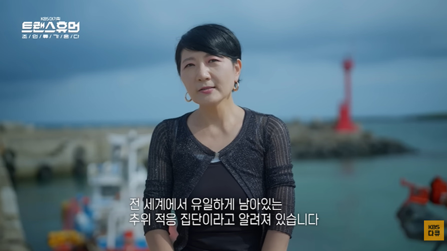 너무 놀라워서 해외에서 연구감이라는 우리나라 직업 | 인스티즈