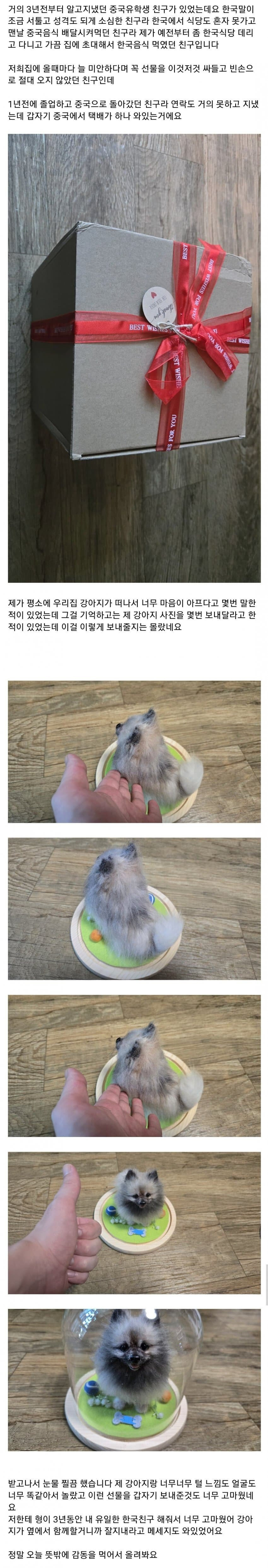 죽은 강아지 사진 보내달라던 중국인 친구 | 인스티즈