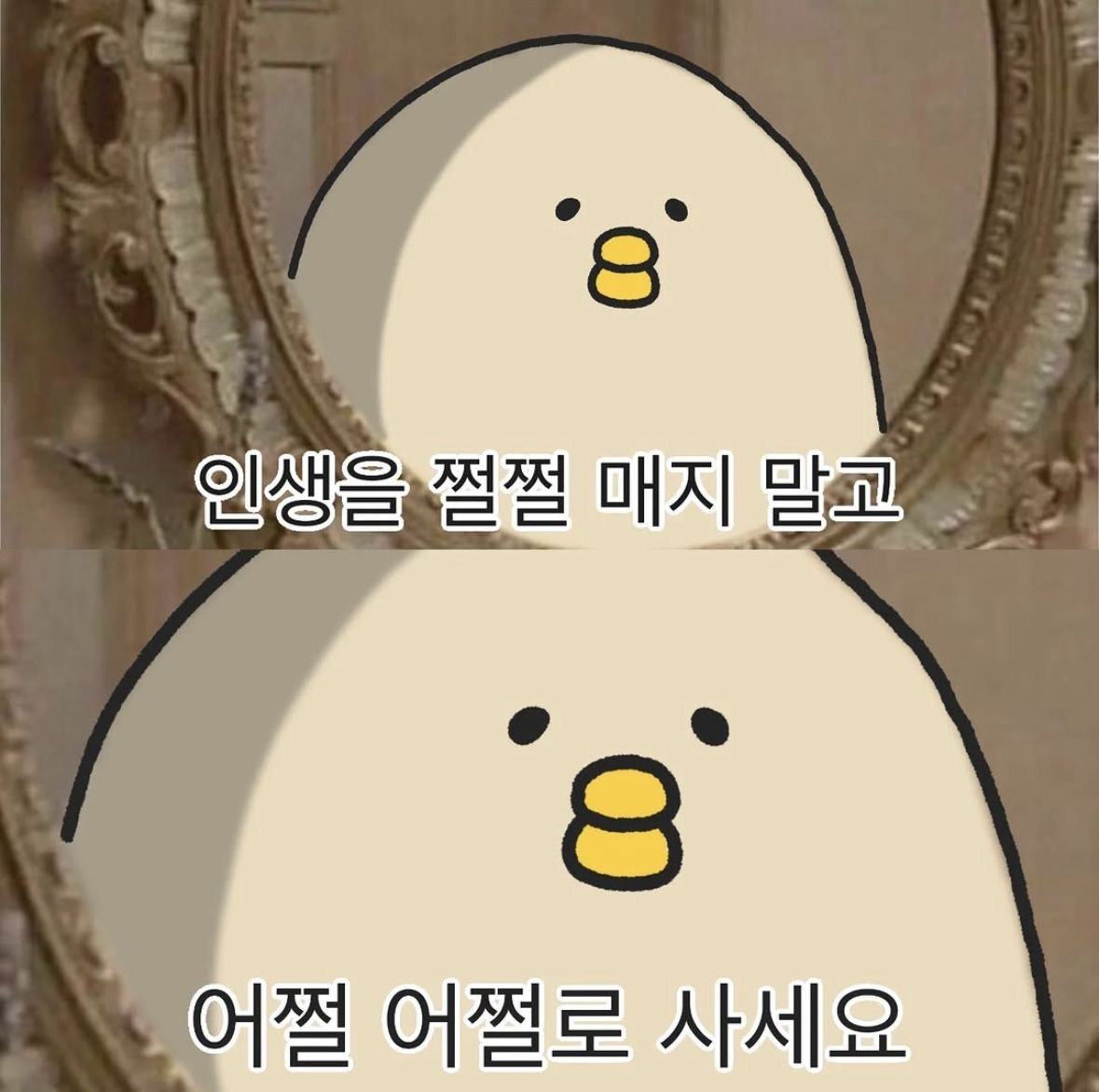 30대까지 진로고민 하고 있을 줄 몰랐어 | 인스티즈