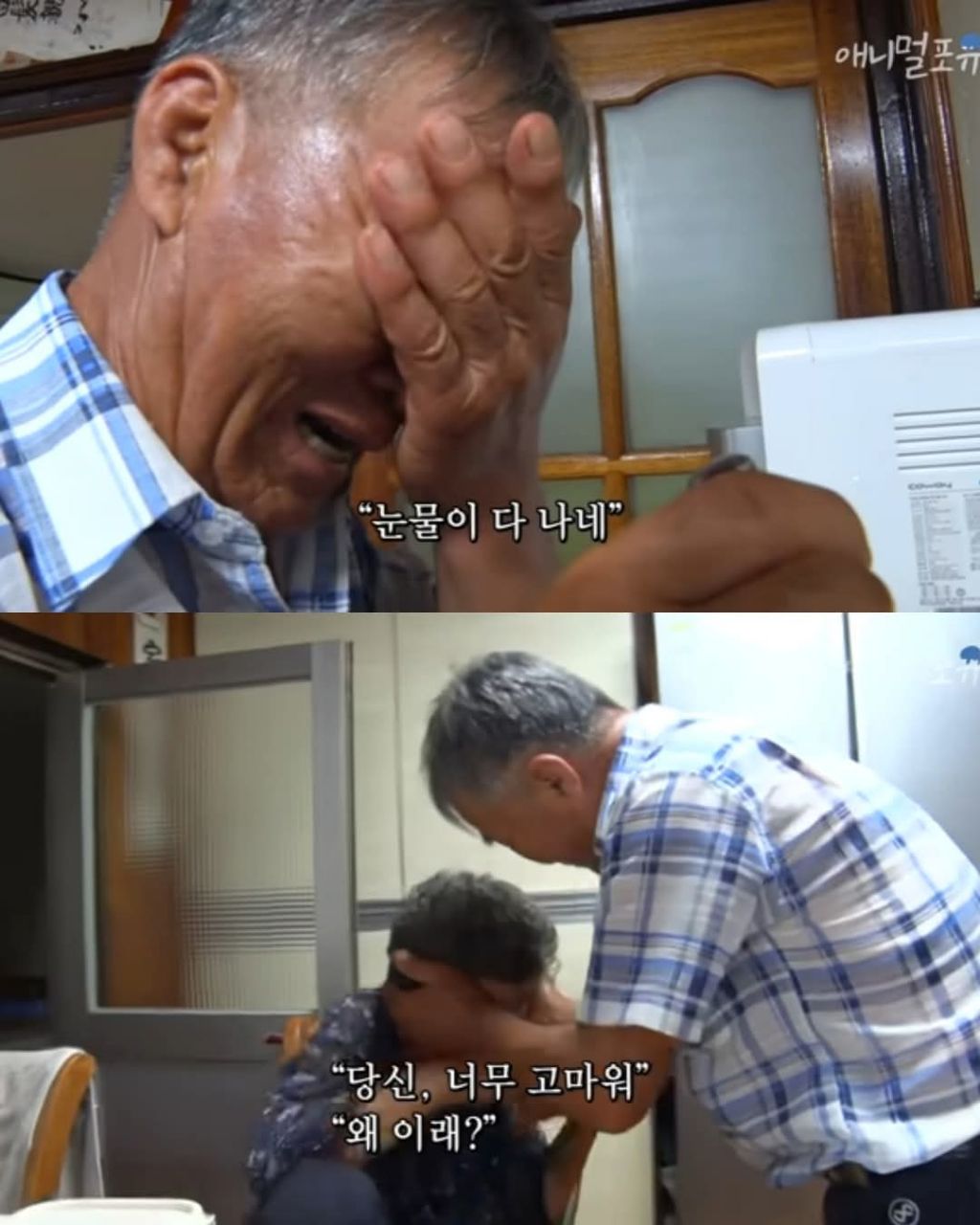치매있는 아내가 끓여준 미역국 | 인스티즈