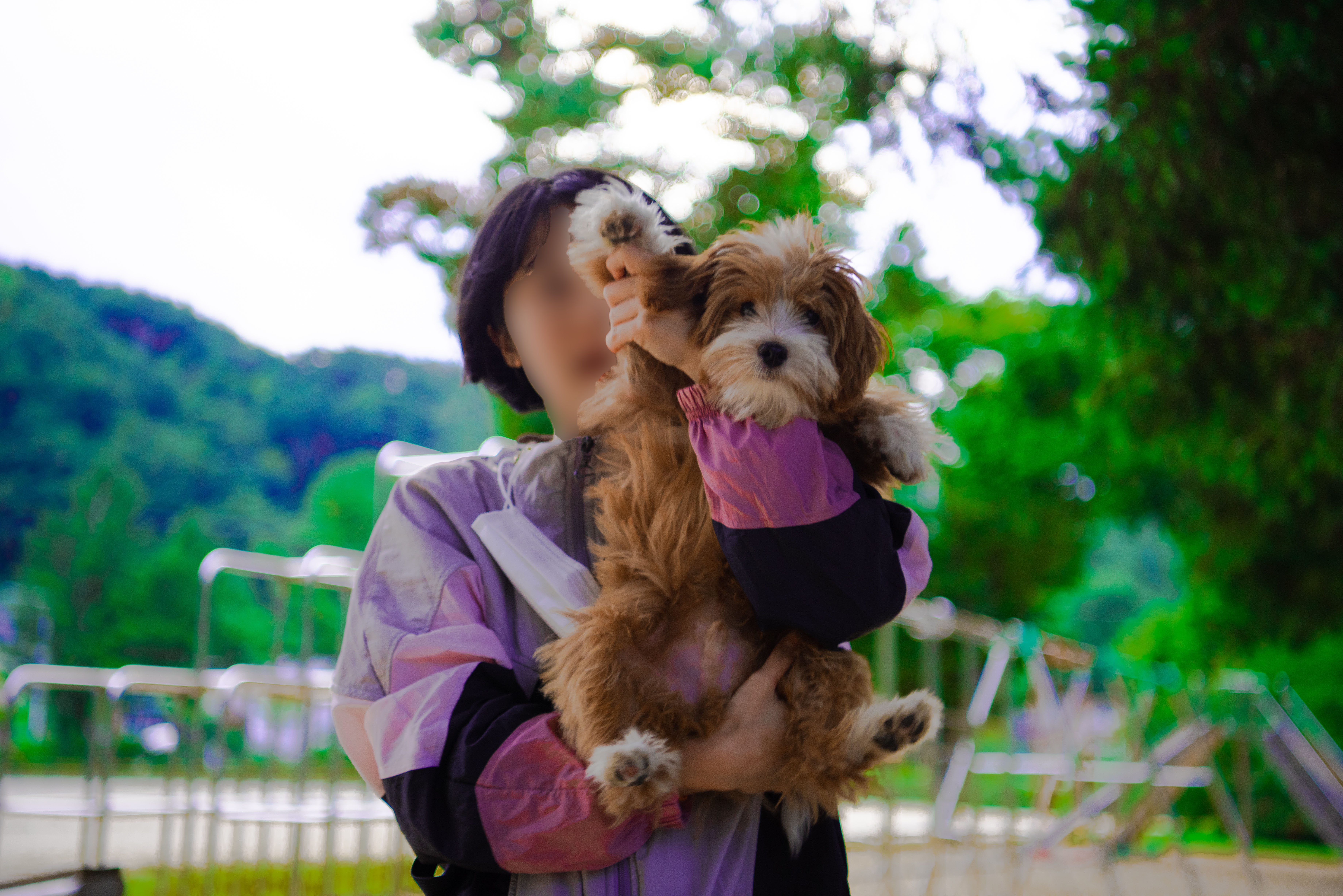 유기견 남매 데려왔는데 너무 귀여워ㅠㅠ 근데 너무 커버렸어;; | 인스티즈