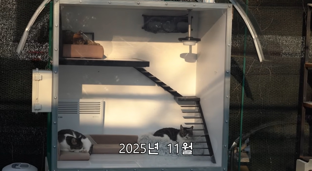5년만에 haha ha에게 마음을 연 카오 | 인스티즈