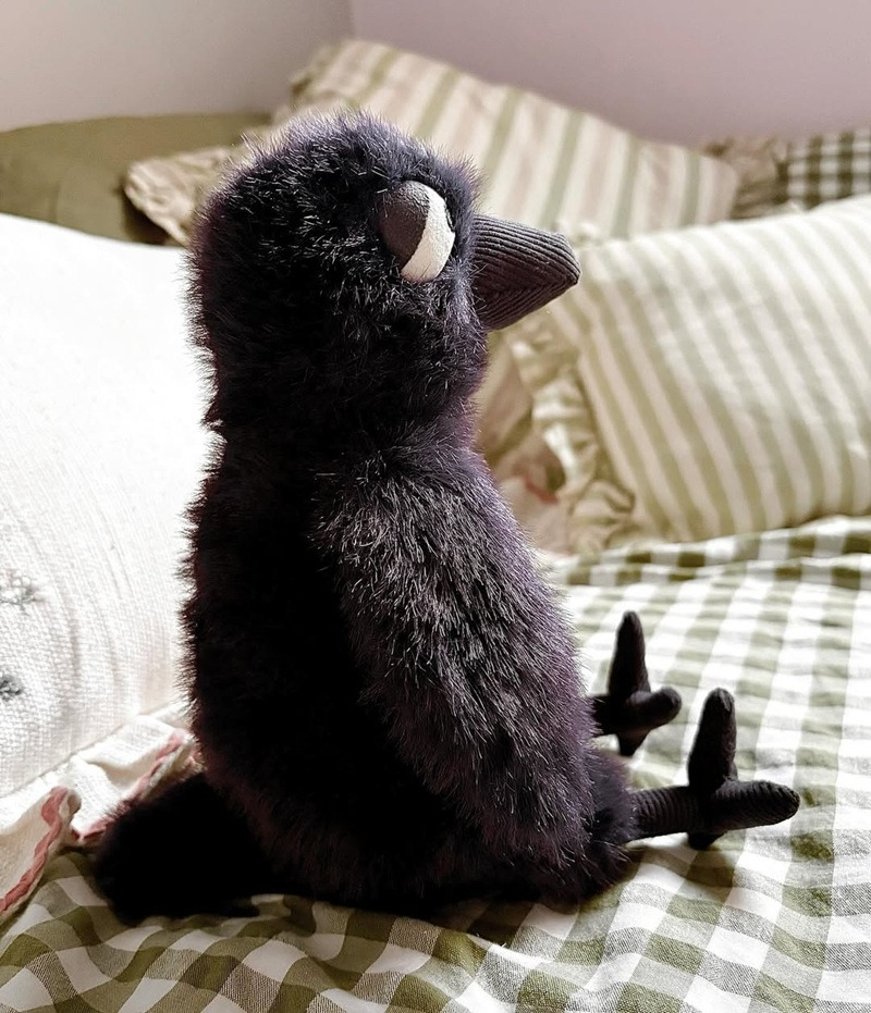 시무룩하게 생겨서 화제된 까마귀(Hocus crow) 인형 | 인스티즈