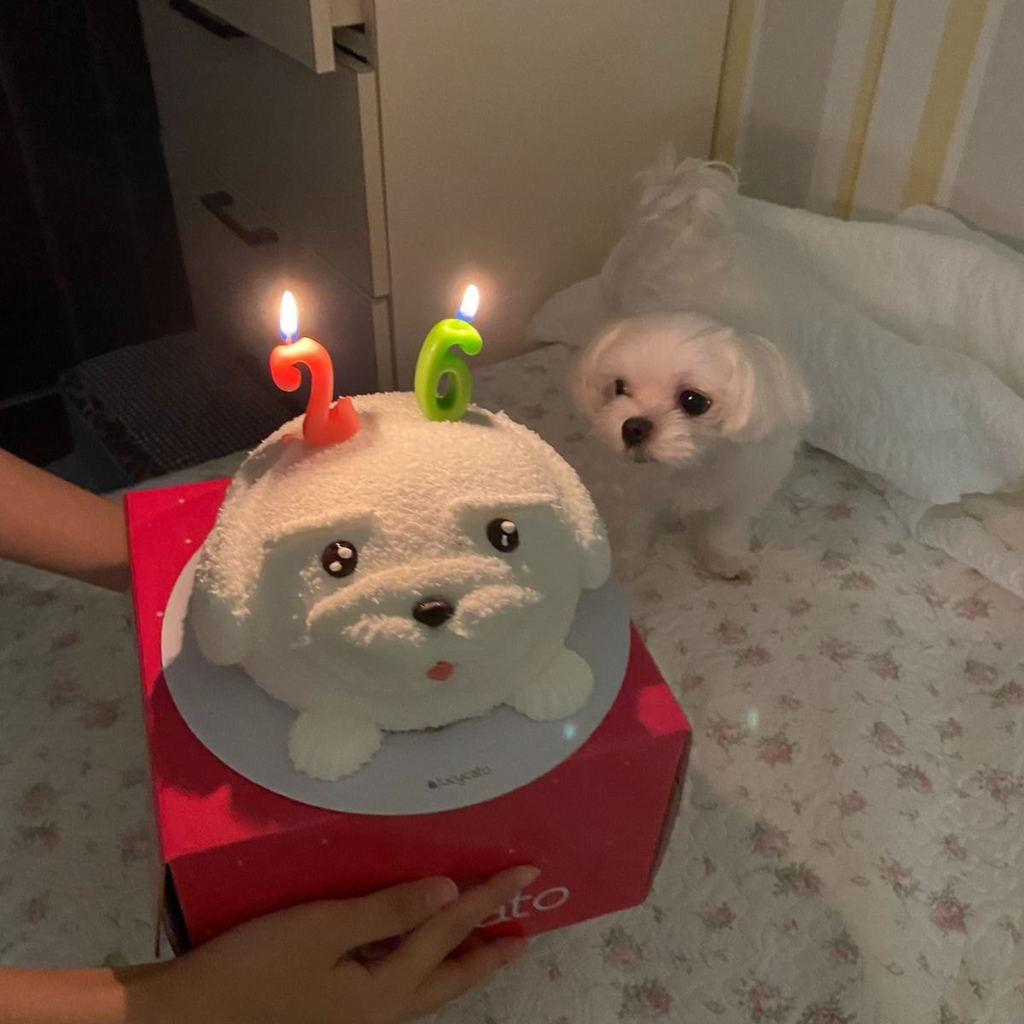 아버지가 계속 흰둥이 케익 사야된다고 하셔서 왜 계속 흰둥이 타령이냐고 했더니.twt | 인스티즈